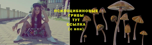 ALPHA PVP Нефтекумск