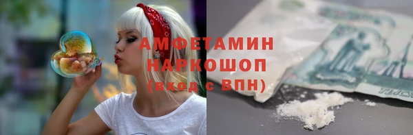 МДПВ Нея
