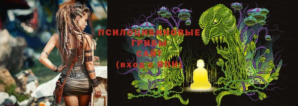 МДПВ Нея