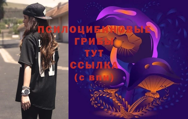 МДПВ Нея