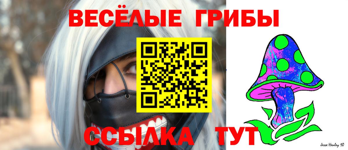 Псилоцибиновые грибы Cubensis Белореченск