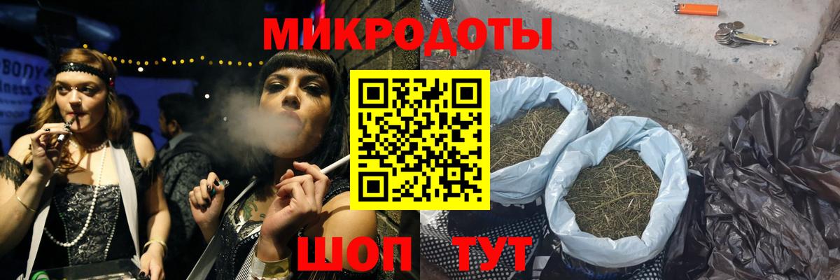 Псилоцибиновые грибы Psilocybine cubensis Белореченск